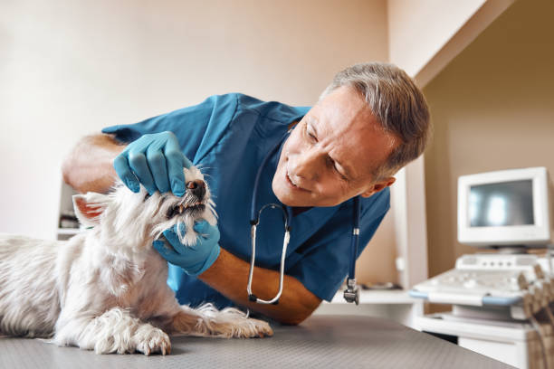 Best Emergency Tooth Extraction in Hawkinsville, GA